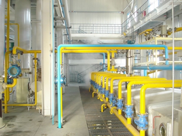 Cottonseed Protein Production Line