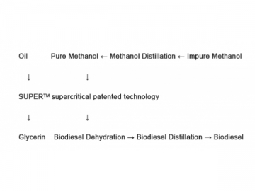 Biodiesel Production Technology and Turn-key Project