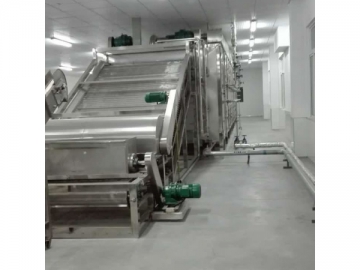 Fruit Chips Production Line