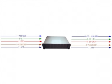 Multi-Service DTV Platform