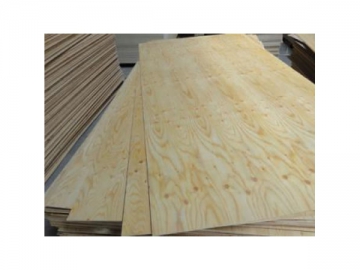 Larch Plywood