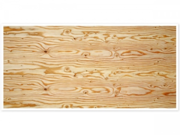 Larch Plywood