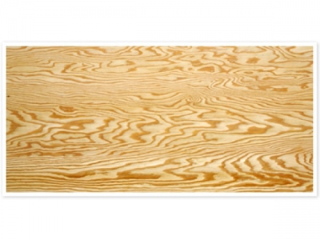 Larch Plywood