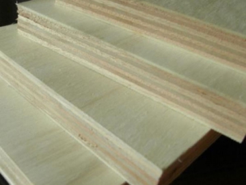 Poplar Plywood