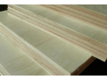 Poplar Plywood