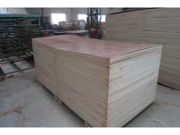 Poplar Plywood