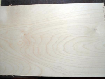 Birch Plywood