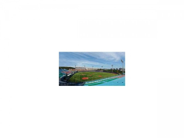 FLASH Series Artificial Grass