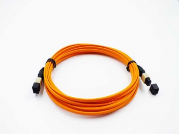 MTP/MPO Patch Cord