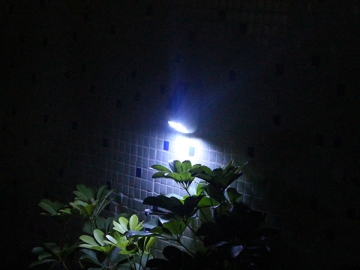 Solar Motion Wall Light SL-80