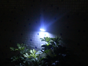 Solar Motion Wall Light SL-80