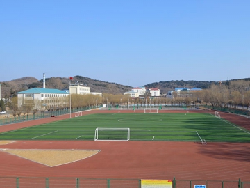 Artificial Football Turf