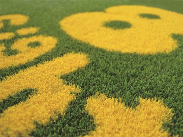 Landscaping Artificial Grass Yarn