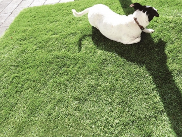 Landscaping Artificial Grass Yarn