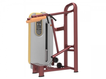 LDGL Series Strength Equipment