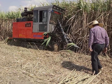 Sugarcane Harvester