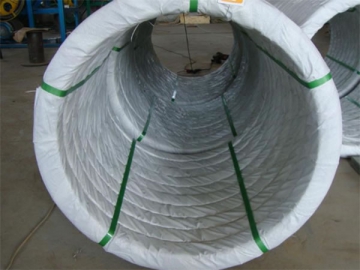Oval Wire