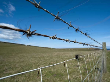 Barbed Wire