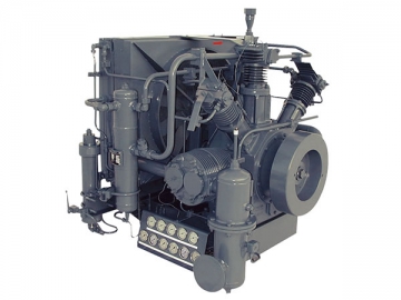 Fleet CNG/BOG Compressor