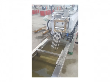 Co-Rotating Twin Screw Pelletizing Line