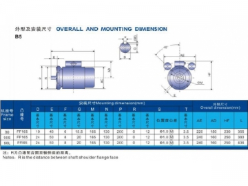 Electric Motor, YLK Series