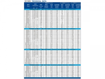 Electric Motor, MS Series