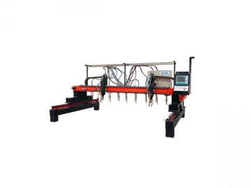 CNC Multi-head Vertical Strip Flame / Plasma Cutting Machine