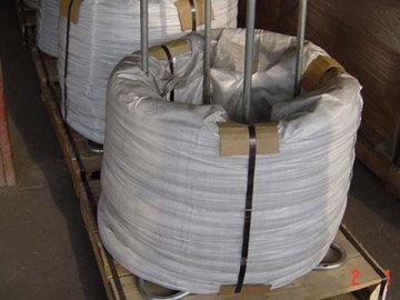 Stainless Steel Wire