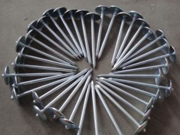 Roofing Nail without Rubber