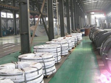 Galvanized Steel Strips