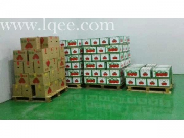 Seafood Cold Storage