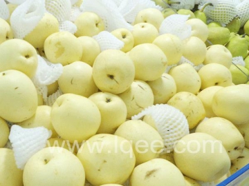 Vegetable Fruit Cold Storage
