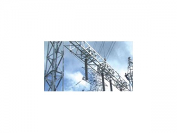 Electric Power Service System