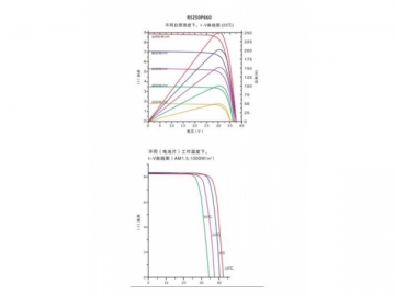 250W~255W Double Glass PV Module