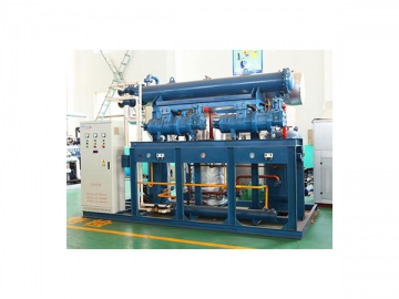 BLK1000kg Industrial Freeze Dryer, Large Capacity Lyophilization Equipment