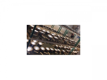 Custom LED Lights