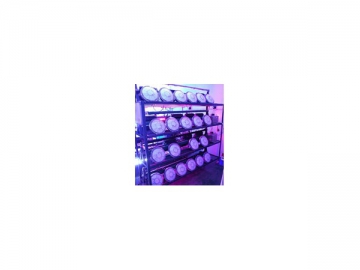 Custom LED Lights