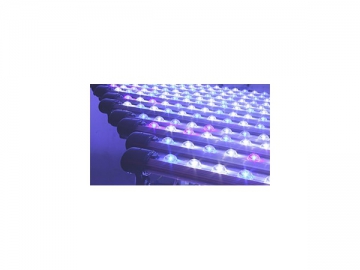 Custom LED Lights