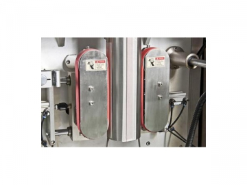 Liquid & Paste Weighing Filling Sealing Packaging Machine