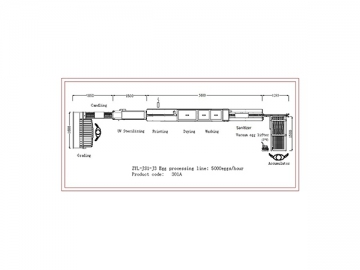 301A Egg Processing  Line with Cleaning & Grading (5000 EGGS/HOUR)