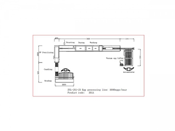 301A Egg Processing  Line with Cleaning & Grading (5000 EGGS/HOUR)