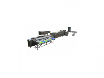 300A  Egg Processing  Line with Cleaning & Grading (3000 EGGS/HOUR)