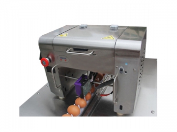 302A Egg Processing Line with Cleaning, Grading & Packaging (10000 EGGS/HOUR)