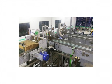 YCZX35 Case Packer, Case Packing Machine