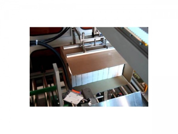 Case Filling Machine