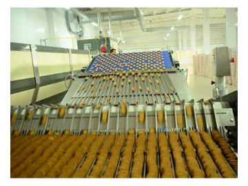 Soft Biscuit Production Line